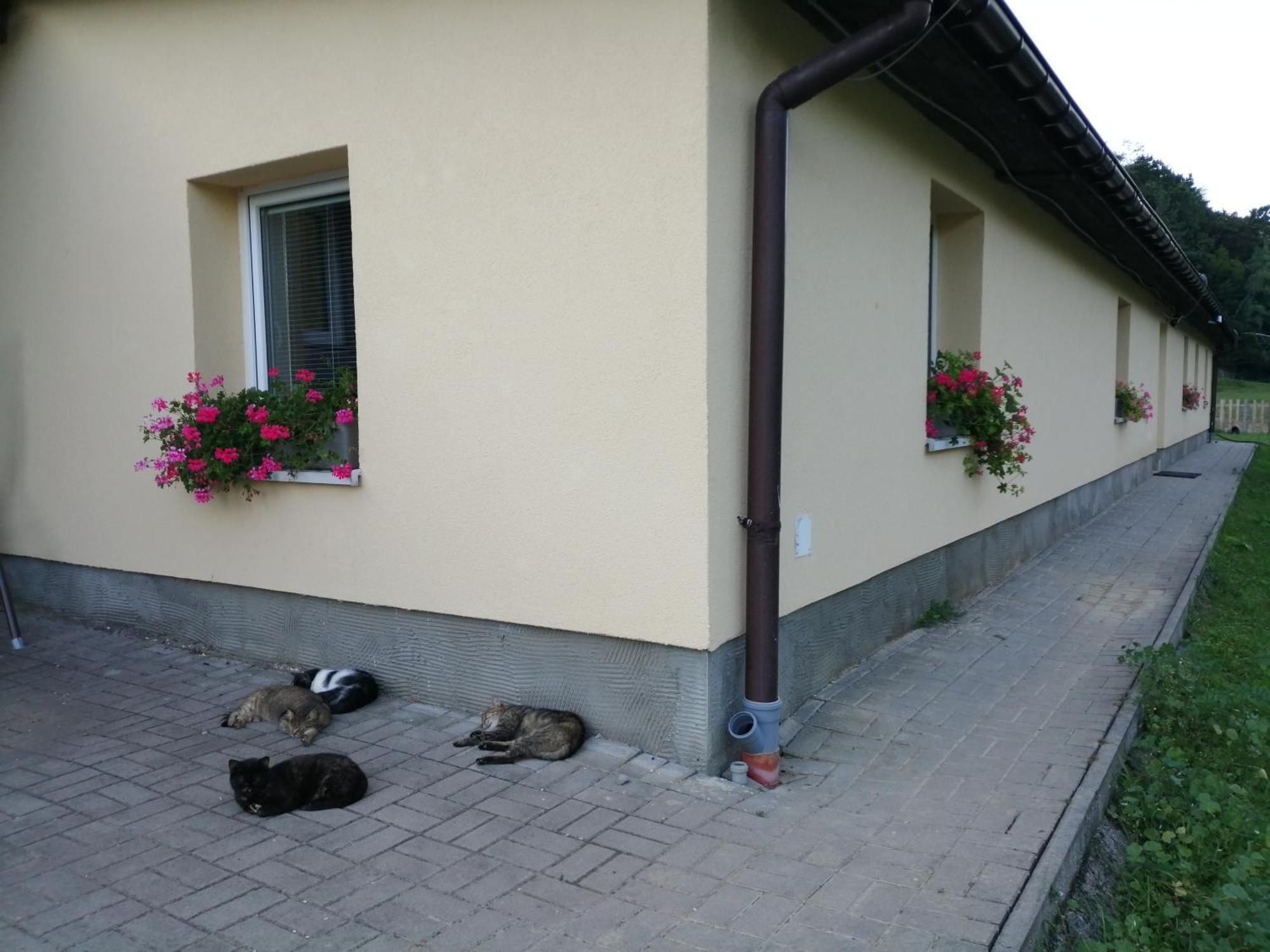 Oddychovy Pobyt Na Rodinnej Farme Matiaska Luaran gambar